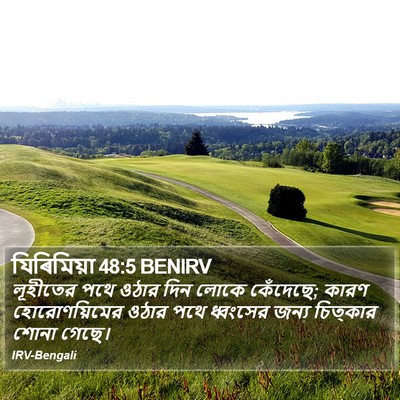 যিৰিমিয়া 48:5 BENIRV Bible Verse Image