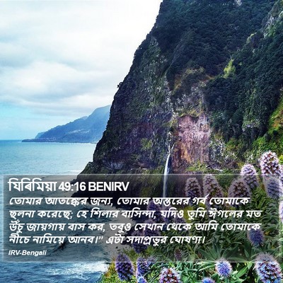 যিৰিমিয়া 49:16 BENIRV Bible Verse Image