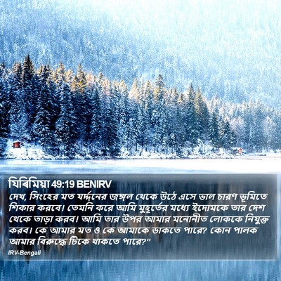 যিৰিমিয়া 49:19 BENIRV Bible Verse Image