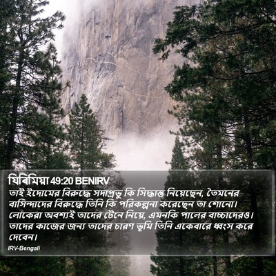যিৰিমিয়া 49:20 BENIRV Bible Verse Image
