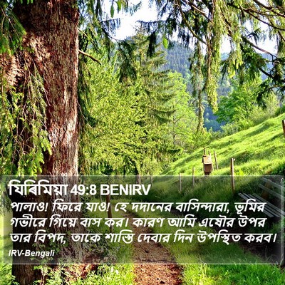 যিৰিমিয়া 49:8 BENIRV Bible Verse Image