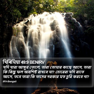 যিৰিমিয়া 49:9 BENIRV Bible Verse Image