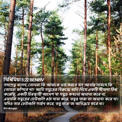 যিৰিমিয়া 5:22 BENIRV Bible Verse Image