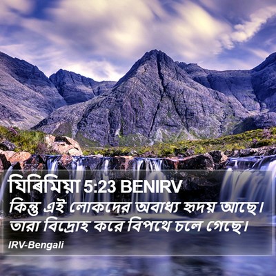যিৰিমিয়া 5:23 BENIRV Bible Verse Image