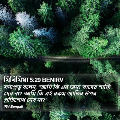 যিৰিমিয়া 5:29 BENIRV Bible Verse Image