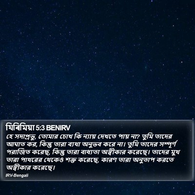 যিৰিমিয়া 5:3 BENIRV Bible Verse Image