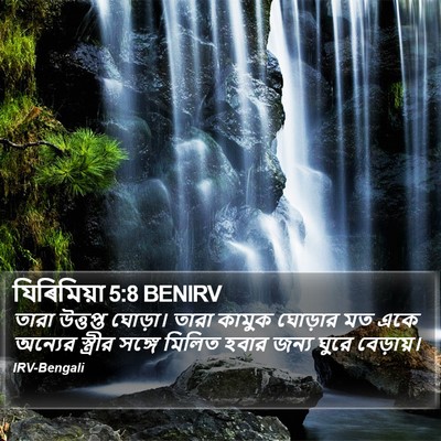 যিৰিমিয়া 5:8 BENIRV Bible Verse Image