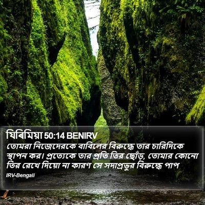 যিৰিমিয়া 50:14 BENIRV Bible Verse Image