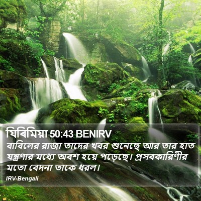 যিৰিমিয়া 50:43 BENIRV Bible Verse Image