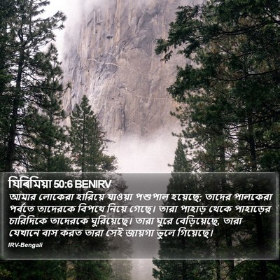 যিৰিমিয়া 50:6 BENIRV Bible Verse Image