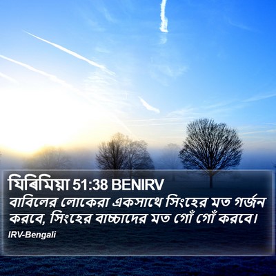 যিৰিমিয়া 51:38 BENIRV Bible Verse Image