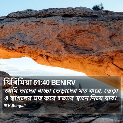 যিৰিমিয়া 51:40 BENIRV Bible Verse Image