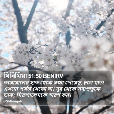 যিৰিমিয়া 51:50 BENIRV Bible Verse Image