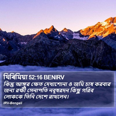 যিৰিমিয়া 52:16 BENIRV Bible Verse Image
