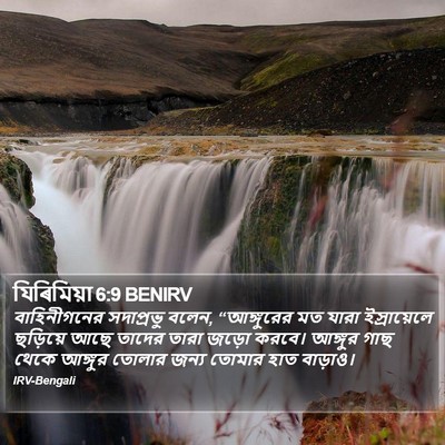 যিৰিমিয়া 6:9 BENIRV Bible Verse Image