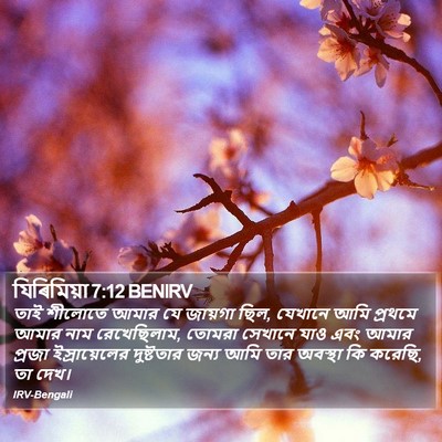 যিৰিমিয়া 7:12 BENIRV Bible Verse Image