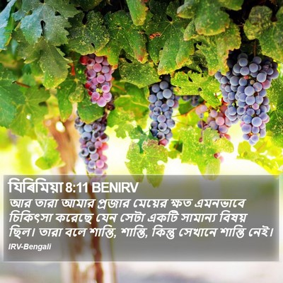 যিৰিমিয়া 8:11 BENIRV Bible Verse Image