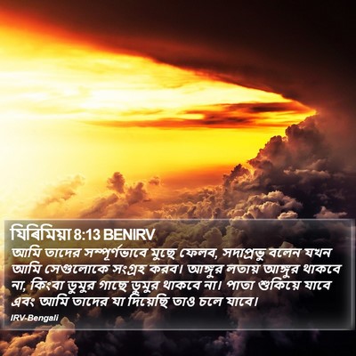 যিৰিমিয়া 8:13 BENIRV Bible Verse Image