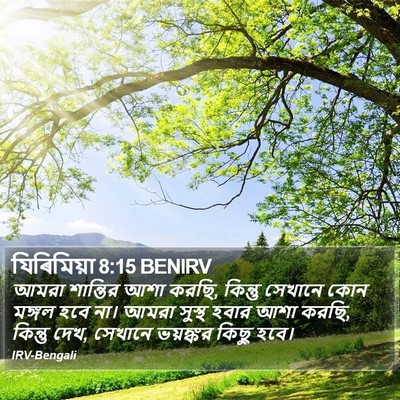 যিৰিমিয়া 8:15 BENIRV Bible Verse Image