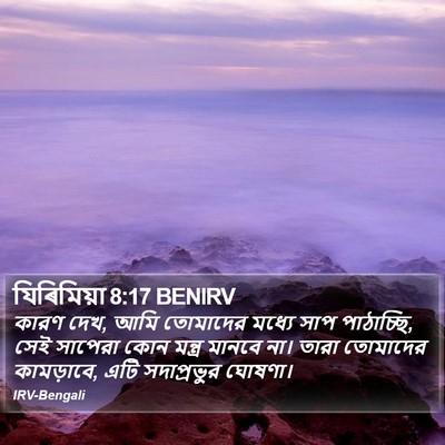 যিৰিমিয়া 8:17 BENIRV Bible Verse Image