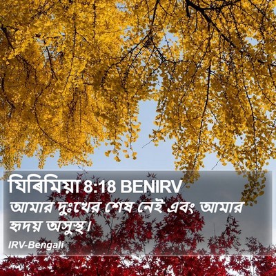 যিৰিমিয়া 8:18 BENIRV Bible Verse Image
