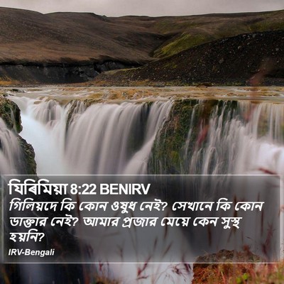 যিৰিমিয়া 8:22 BENIRV Bible Verse Image