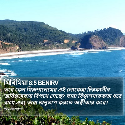 যিৰিমিয়া 8:5 BENIRV Bible Verse Image
