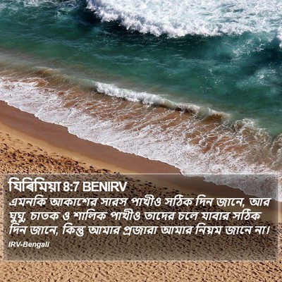 যিৰিমিয়া 8:7 BENIRV Bible Verse Image