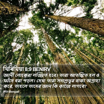 যিৰিমিয়া 8:9 BENIRV Bible Verse Image