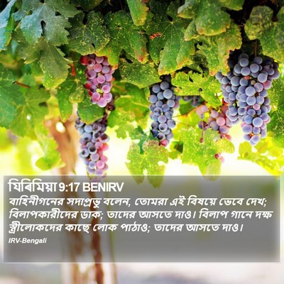 যিৰিমিয়া 9:17 BENIRV Bible Verse Image