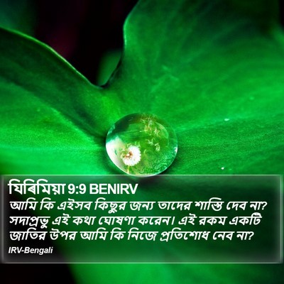যিৰিমিয়া 9:9 BENIRV Bible Verse Image