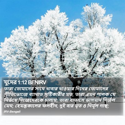যুদের 1:12 BENIRV Bible Verse Image
