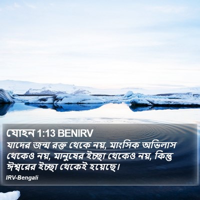 যোহন 1:13 BENIRV Bible Verse Image