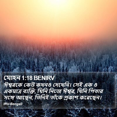 যোহন 1:18 BENIRV Bible Verse Image