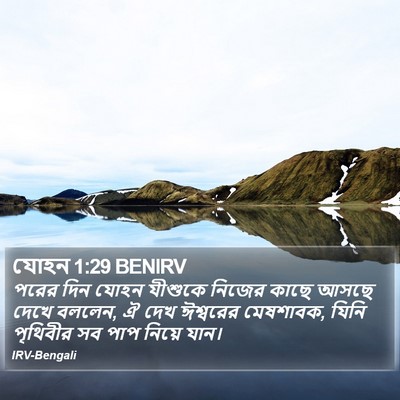 যোহন 1:29 BENIRV Bible Verse Image