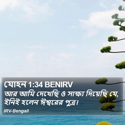 যোহন 1:34 BENIRV Bible Verse Image