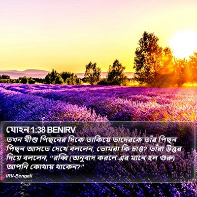 যোহন 1:38 BENIRV Bible Verse Image