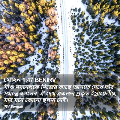 যোহন 1:47 BENIRV Bible Verse Image