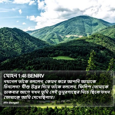 যোহন 1:48 BENIRV Bible Verse Image