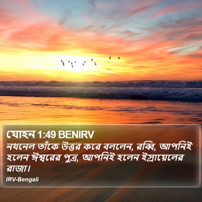 যোহন 1:49 BENIRV Bible Verse Image
