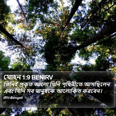যোহন 1:9 BENIRV Bible Verse Image