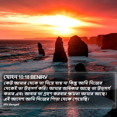যোহন 10:18 BENIRV Bible Verse Image