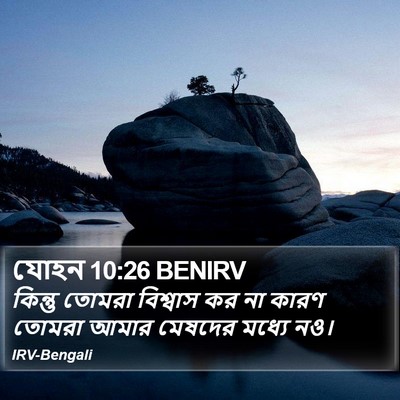 যোহন 10:26 BENIRV Bible Verse Image