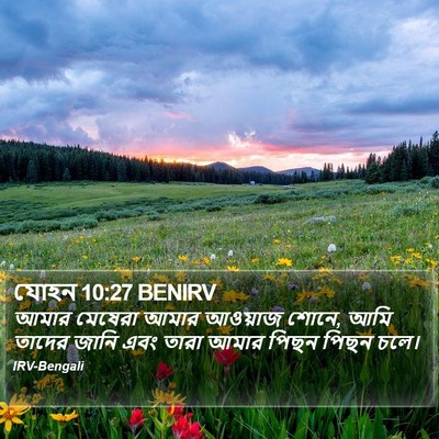 যোহন 10:27 BENIRV Bible Verse Image