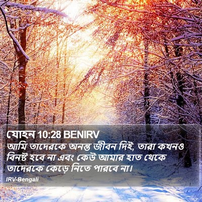 যোহন 10:28 BENIRV Bible Verse Image
