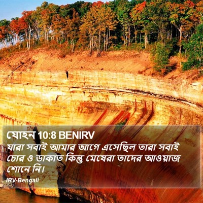 যোহন 10:8 BENIRV Bible Verse Image
