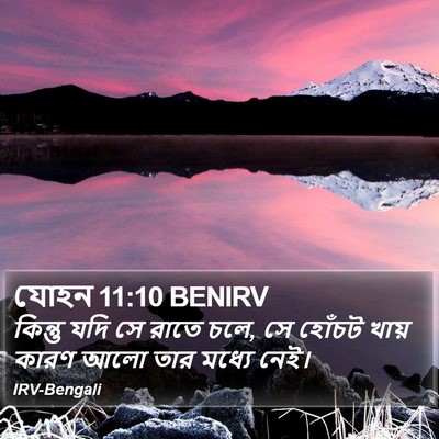 যোহন 11:10 BENIRV Bible Verse Image