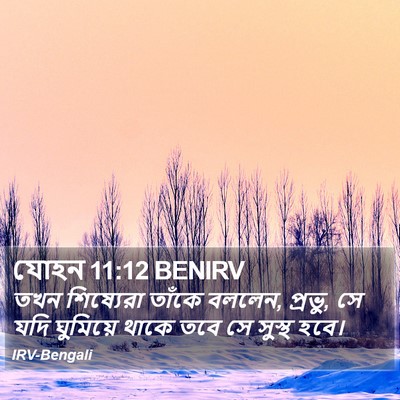 যোহন 11:12 BENIRV Bible Verse Image