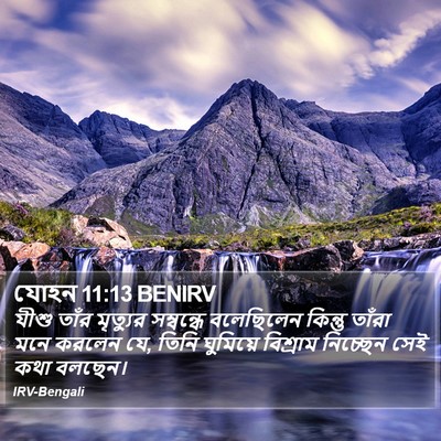 যোহন 11:13 BENIRV Bible Verse Image