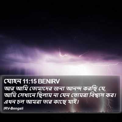 যোহন 11:15 BENIRV Bible Verse Image